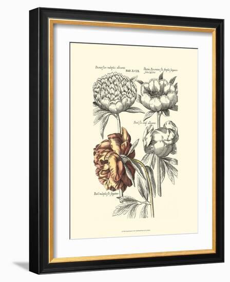 Tinted Floral I-Besler Basilius-Framed Art Print