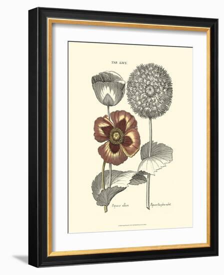 Tinted Floral II-Besler Basilius-Framed Art Print