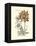 Tinted Floral III-Besler Basilius-Framed Stretched Canvas