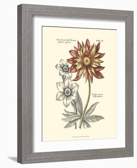 Tinted Floral III-Besler Basilius-Framed Art Print