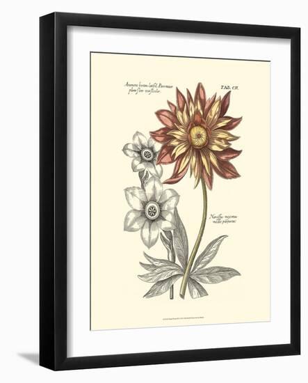 Tinted Floral III-Besler Basilius-Framed Art Print