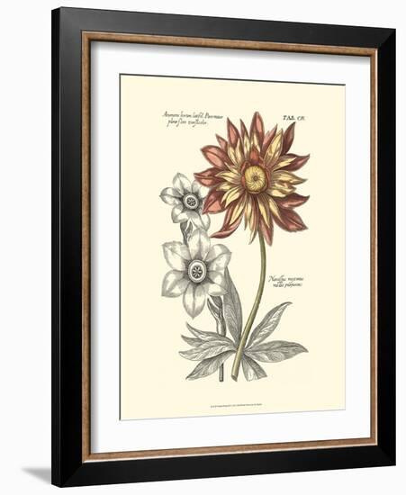 Tinted Floral III-Besler Basilius-Framed Art Print