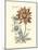 Tinted Floral III-Besler Basilius-Mounted Art Print