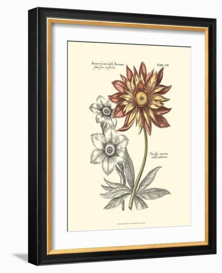 Tinted Floral III-Besler Basilius-Framed Art Print