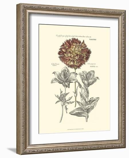 Tinted Floral IV-Besler Basilius-Framed Art Print