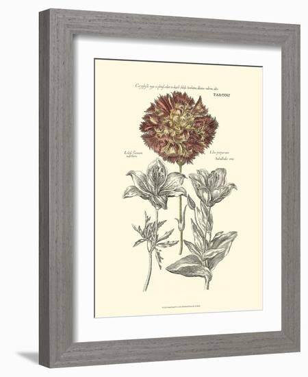 Tinted Floral IV-Besler Basilius-Framed Art Print