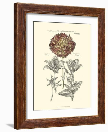 Tinted Floral IV-Besler Basilius-Framed Art Print