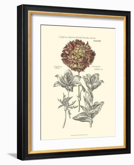 Tinted Floral IV-Besler Basilius-Framed Art Print