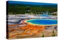 Stretched Canvas Print