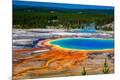 Premium Photographic Print