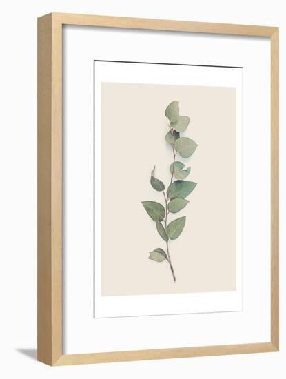 Tiny Branch-Urban Epiphany-Framed Art Print