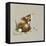 Tiny Bunny-Peggy Harris-Framed Premier Image Canvas