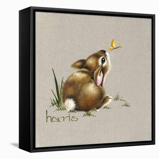 Tiny Bunny-Peggy Harris-Framed Premier Image Canvas