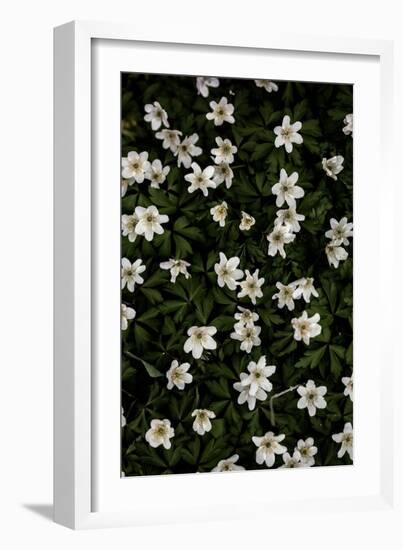 Tiny Flowers 2-Mareike Böhmer-Framed Giclee Print