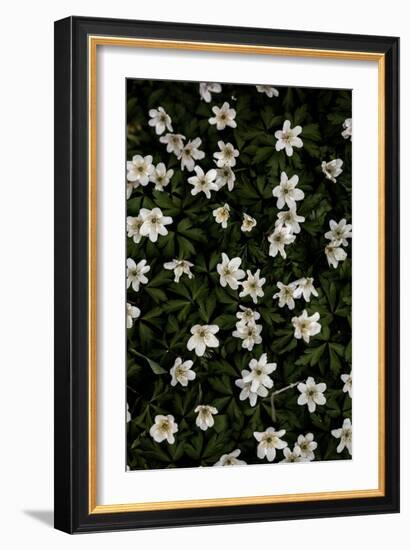 Tiny Flowers 2-Mareike Böhmer-Framed Giclee Print