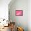 Tiny Glamour Dog With Pink Accessories Isolated-vitalytitov-Framed Premier Image Canvas displayed on a wall