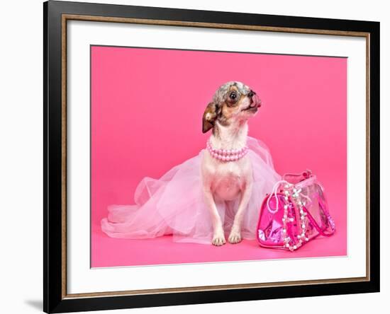 Tiny Glamour Dog With Pink Accessories Isolated-vitalytitov-Framed Photographic Print