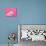 Tiny Glamour Dog With Pink Accessories Isolated-vitalytitov-Photographic Print displayed on a wall