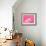 Tiny Glamour Dog With Pink Accessories Isolated-vitalytitov-Framed Photographic Print displayed on a wall