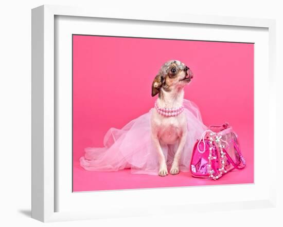 Tiny Glamour Dog With Pink Accessories Isolated-vitalytitov-Framed Photographic Print