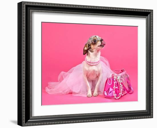 Tiny Glamour Dog With Pink Accessories Isolated-vitalytitov-Framed Photographic Print