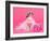 Tiny Glamour Dog With Pink Accessories Isolated-vitalytitov-Framed Photographic Print