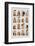 Tiny Houses #2-Alisa Galitsyna-Framed Photographic Print