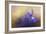 Tiny Iris-Jai Johnson-Framed Giclee Print