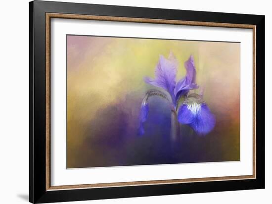 Tiny Iris-Jai Johnson-Framed Giclee Print