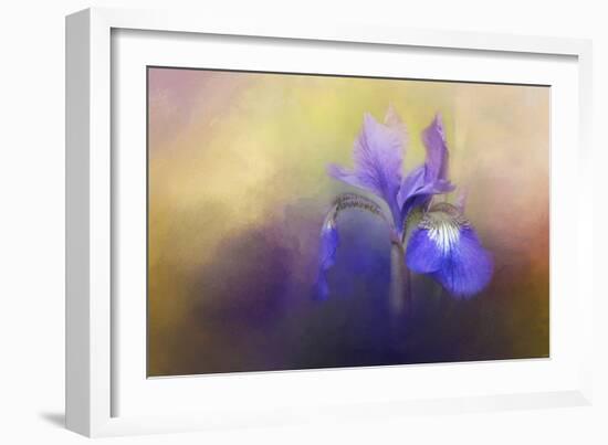 Tiny Iris-Jai Johnson-Framed Giclee Print