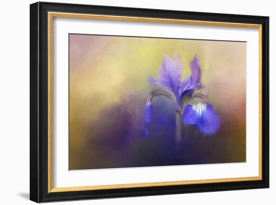 Tiny Iris-Jai Johnson-Framed Giclee Print