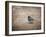 Tiny Junco in a Big World-Jai Johnson-Framed Giclee Print