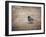 Tiny Junco in a Big World-Jai Johnson-Framed Giclee Print