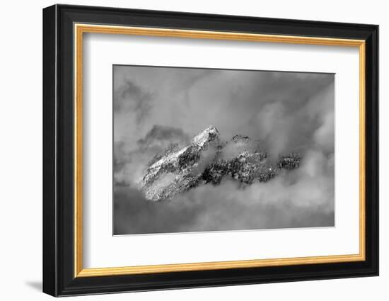 Tips-Ursula Abresch-Framed Photographic Print