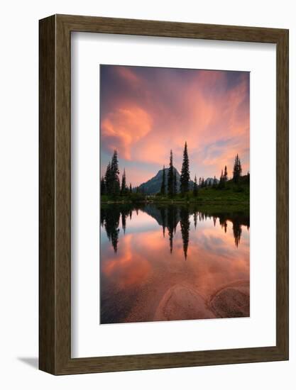 Tipsoo Lake - Mount Rainier National Park-beboy-Framed Photographic Print