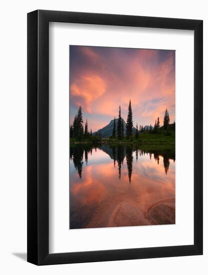 Tipsoo Lake - Mount Rainier National Park-beboy-Framed Photographic Print