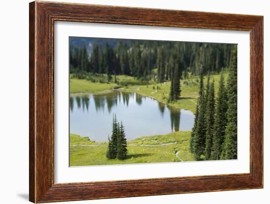 Tipsoo Lake. Mt. Rainier National Park, WA-Justin Bailie-Framed Photographic Print