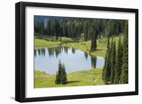 Tipsoo Lake. Mt. Rainier National Park, WA-Justin Bailie-Framed Photographic Print