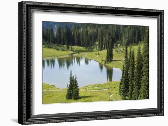 Tipsoo Lake. Mt. Rainier National Park, WA-Justin Bailie-Framed Photographic Print