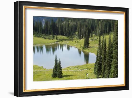 Tipsoo Lake. Mt. Rainier National Park, WA-Justin Bailie-Framed Photographic Print