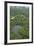 Tiputini River and Oxbow Lake in the Amazon, Yasuni NP, Ecuador-Pete Oxford-Framed Photographic Print