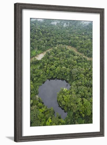 Tiputini River and Oxbow Lake in the Amazon, Yasuni NP, Ecuador-Pete Oxford-Framed Photographic Print