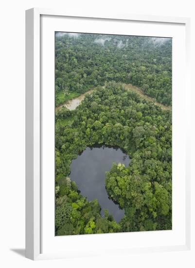 Tiputini River and Oxbow Lake in the Amazon, Yasuni NP, Ecuador-Pete Oxford-Framed Photographic Print