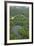 Tiputini River and Oxbow Lake in the Amazon, Yasuni NP, Ecuador-Pete Oxford-Framed Photographic Print