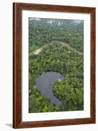 Tiputini River and Oxbow Lake in the Amazon, Yasuni NP, Ecuador-Pete Oxford-Framed Photographic Print