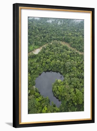 Tiputini River and Oxbow Lake in the Amazon, Yasuni NP, Ecuador-Pete Oxford-Framed Photographic Print