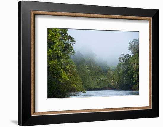 Tiputini River Scenic, Yasuni NP, Amazon Rainforest, Ecuador-Pete Oxford-Framed Photographic Print