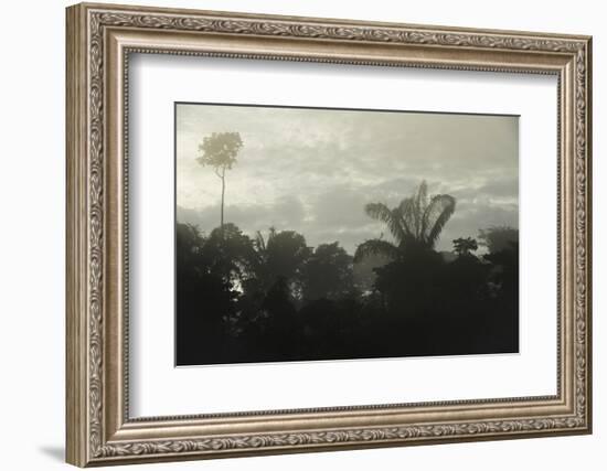 Tiputini River Scenic, Yasuni NP, Amazon Rainforest, Ecuador-Pete Oxford-Framed Photographic Print