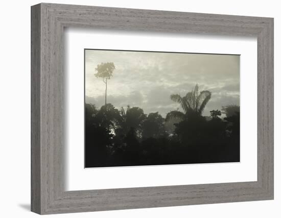 Tiputini River Scenic, Yasuni NP, Amazon Rainforest, Ecuador-Pete Oxford-Framed Photographic Print