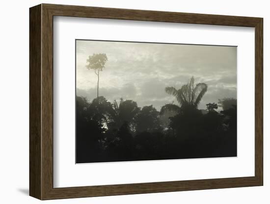 Tiputini River Scenic, Yasuni NP, Amazon Rainforest, Ecuador-Pete Oxford-Framed Photographic Print
